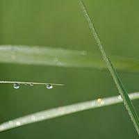 2012-05-12 08-25-39