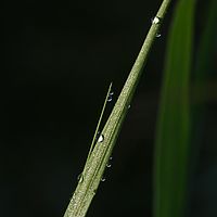 2012-05-12 08-27-02