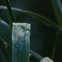 2012-05-12 08-28-23