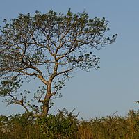 2012-05-12 16-06-42