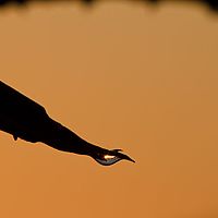 2012-05-13 06-37-41