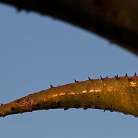 2012-05-13 06-39-31