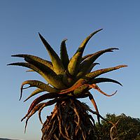 2012-05-13 06-52-29