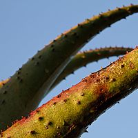 2012-05-13 06-53-11