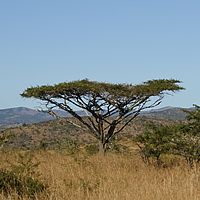 2012-05-16 08-56-35