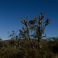 2012-05-17 15-06-54