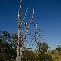 2012-05-17 15-14-24