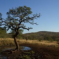 2012-05-17 15-19-35