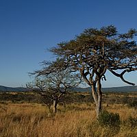 2012-05-17 15-38-33