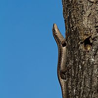 2012-04-30 08-30-32