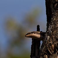 2012-04-30 08-31-44