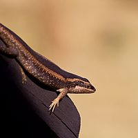 2012-04-30 14-34-01