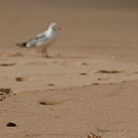 2012-05-05 13-39-42