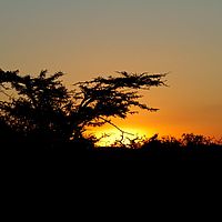 2012-05-17 17-03-36