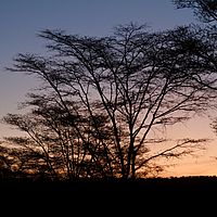 2012-05-22 17-36-46