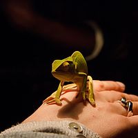2012-05-05 21-35-00