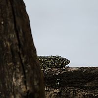 2012-05-06 11-15-34