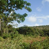 2012-05-08 08-31-30