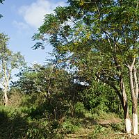 2012-05-08 08-31-38
