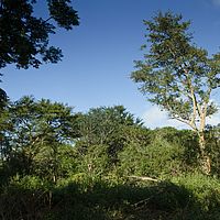 2012-05-08 08-32-01