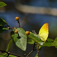 2012-05-12 12-20-00