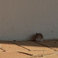 2012-05-13 08-41-53