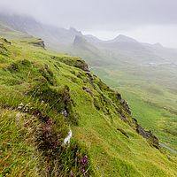 2018-07-14 14-33-38