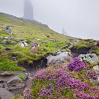 2018-07-15 09-40-43