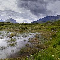 2018-07-18 10-25-42