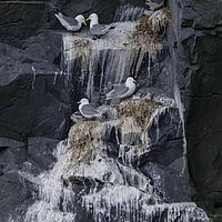 2018-07-17 11-13-59-2