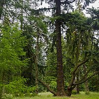 2018-07-10 13-22-22