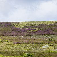2018-07-19 15-02-09