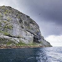 2018-07-17 11-09-40