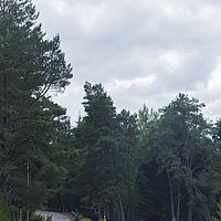 2018-07-19 15-32-39