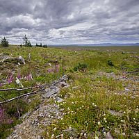 2018-07-19 12-39-52