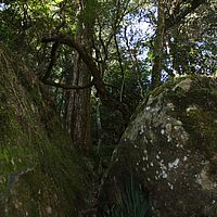 2012-05-19 11-50-30