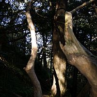 2012-05-19 11-52-56
