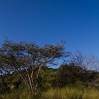 2012-04-30 15-18-56