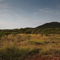 2012-05-02 07-56-02