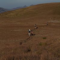 2012-05-19 15-13-39