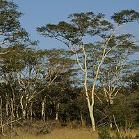2012-05-08 15-30-32