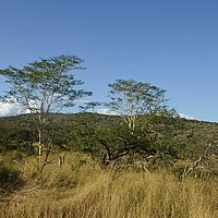 2012-05-08 15-32-44