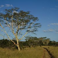 2012-05-08 15-33-44