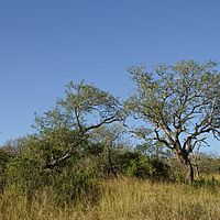 2012-05-08 15-35-45