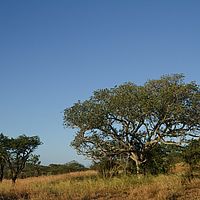 2012-05-10 07-27-20