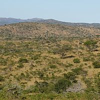 2012-05-16 08-55-32