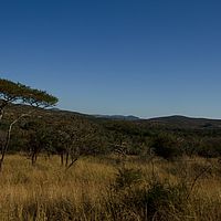 2012-05-17 15-05-51