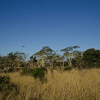 2012-05-17 15-13-50