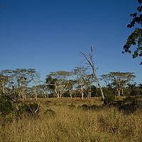 2012-05-17 15-14-02