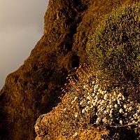 2012-05-20 07-00-42